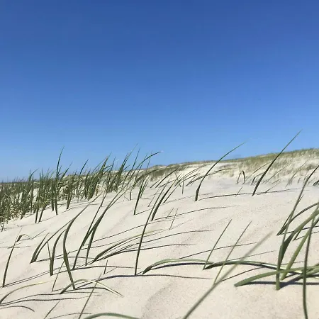 Ferienhaus-nordseebirke * Süderdeich