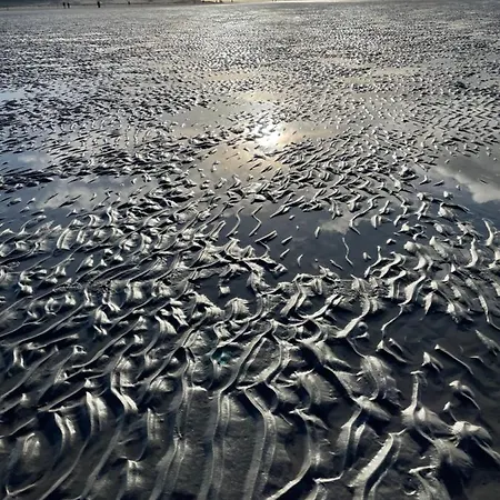 Ferienhaus-nordseebirke